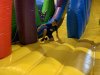 IMG_1411